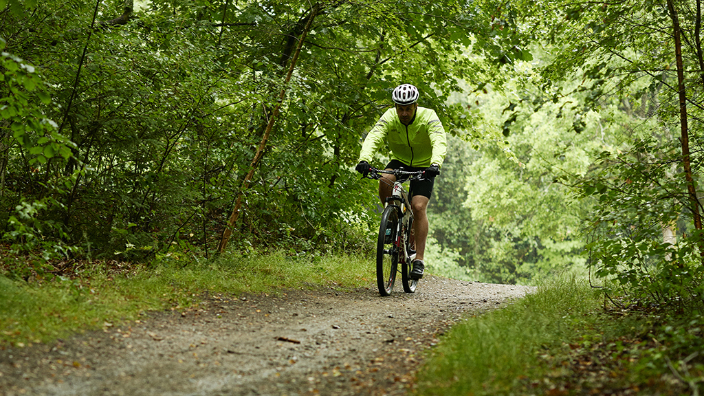 På MTB i Rold Skov