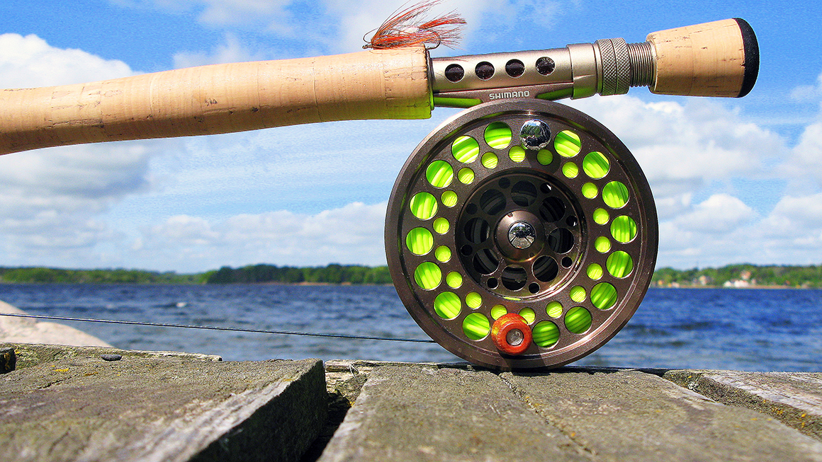 Sommer ved Mariager Fjord - fiskeri