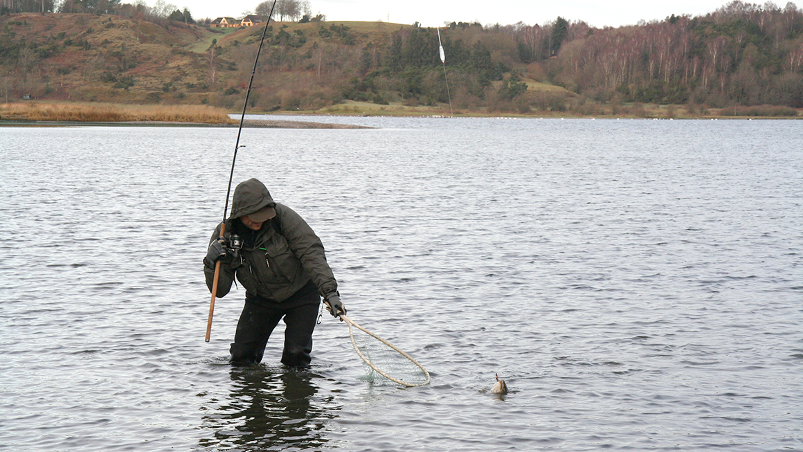 Vinter ved Mariager Fjord - fiskeri