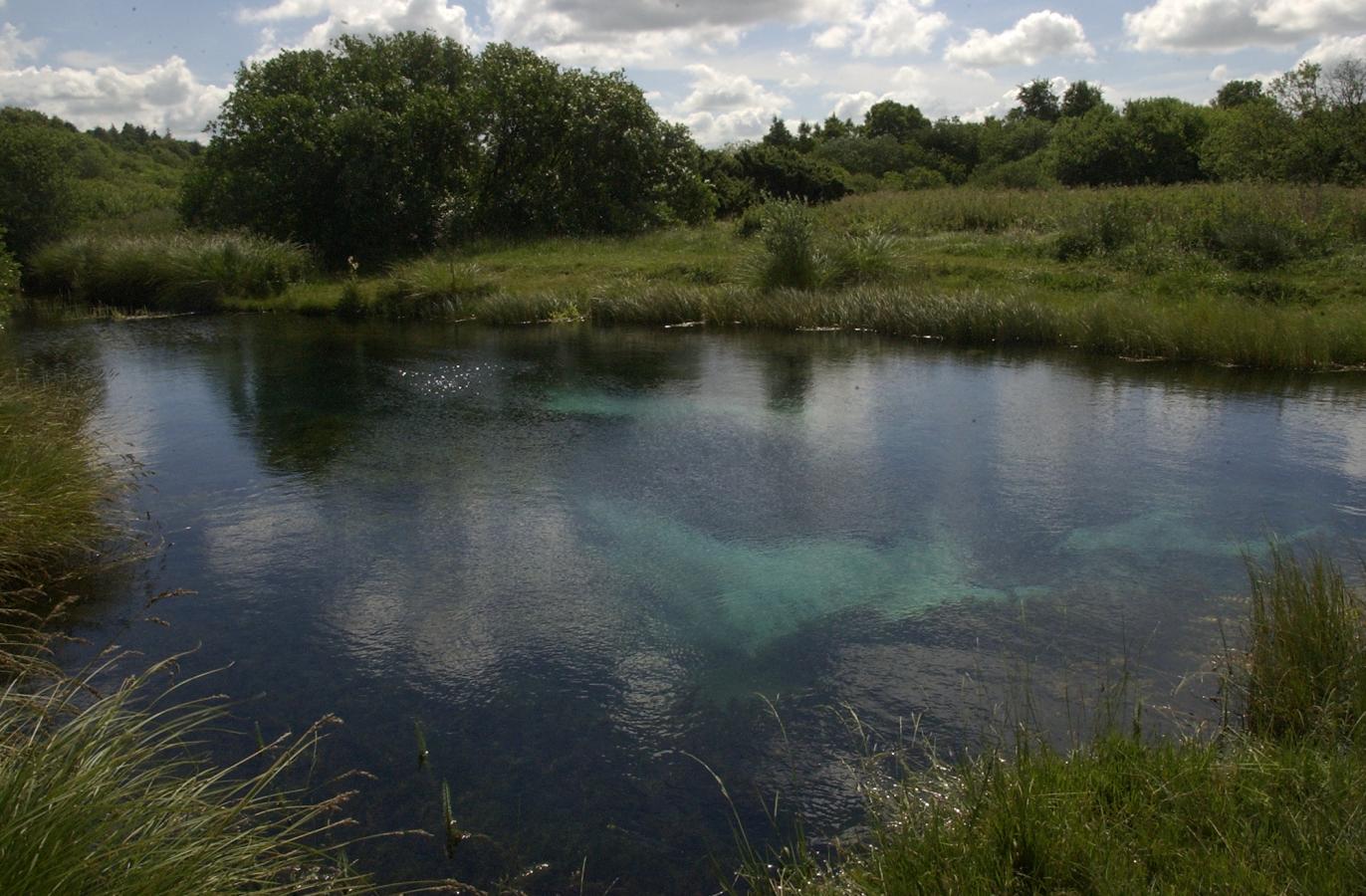 Store Blåkilde i Rold Skov