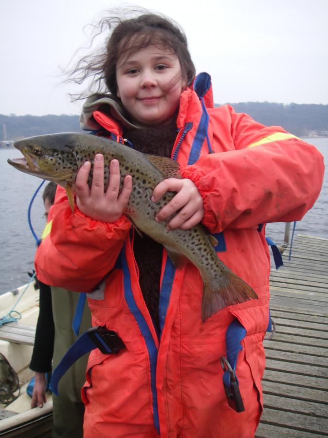Seatrout Mariagerfjord - Fredningstider og mindstemål