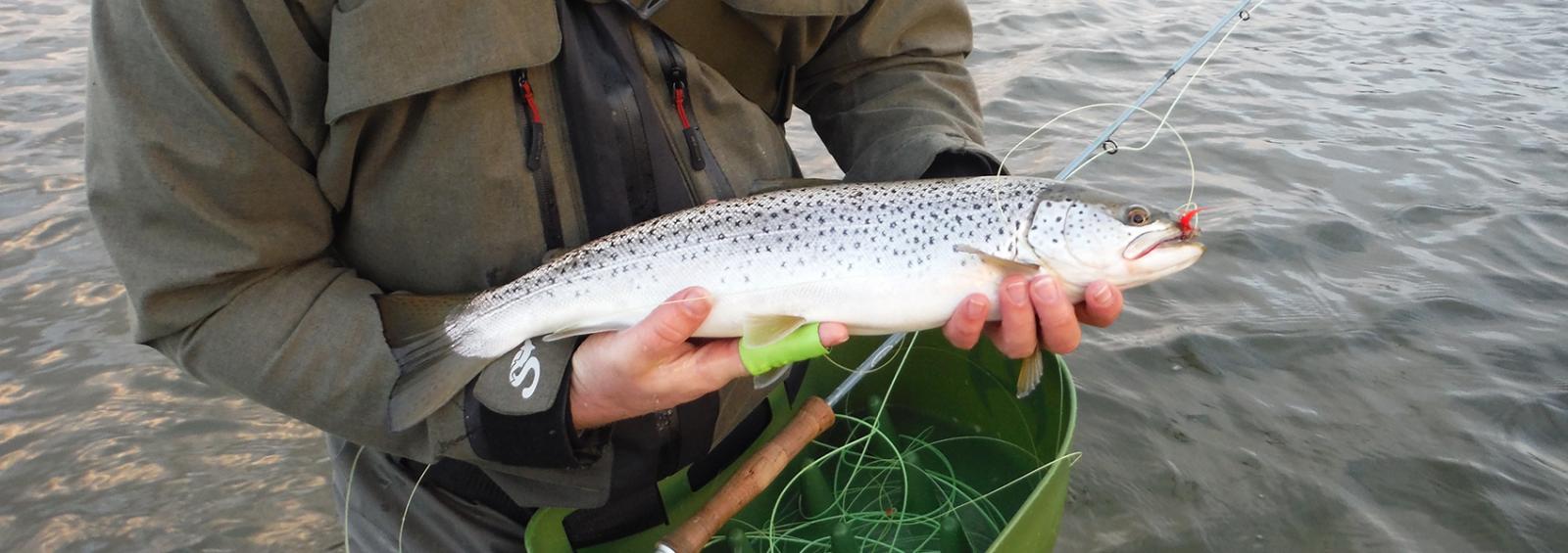 Metoder, udstyr og grej til lystfiskeri