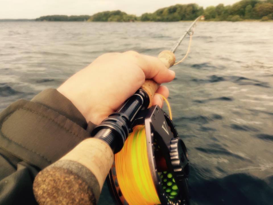 Seatrout Mariagerfjord - de uskrevne regler