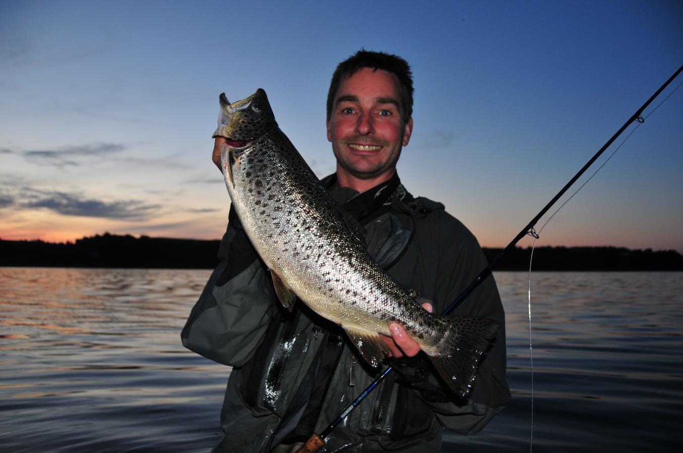 Seatrout Mariagerfjord - Love og regler