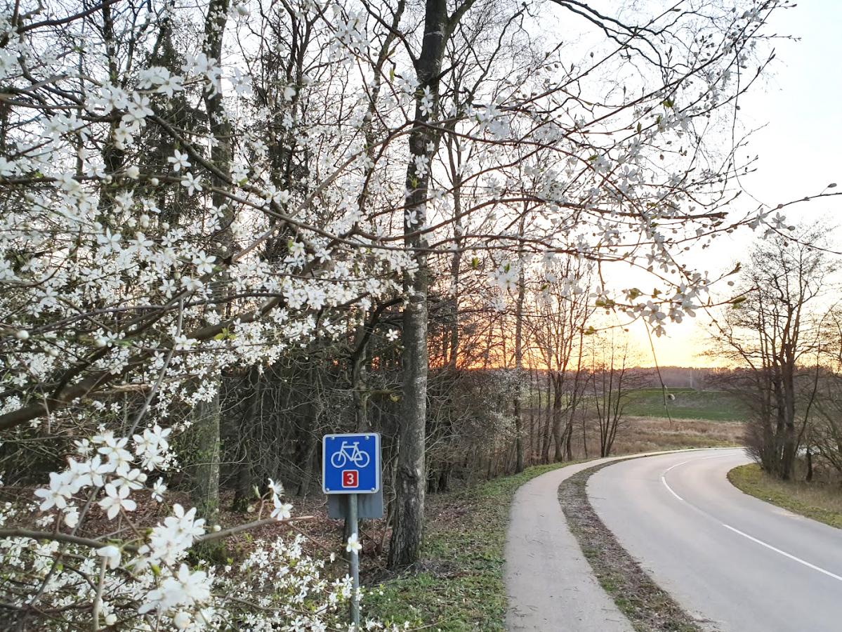 Forår, Hærvejen, cykelrute