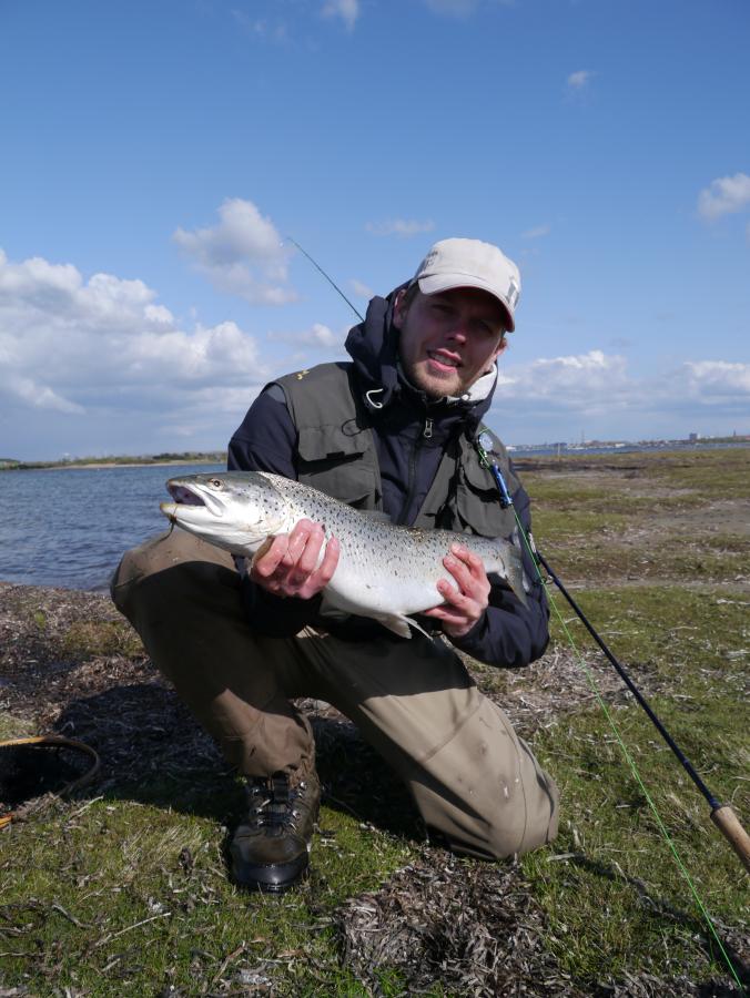Lystfiskeri i Limfjorden
