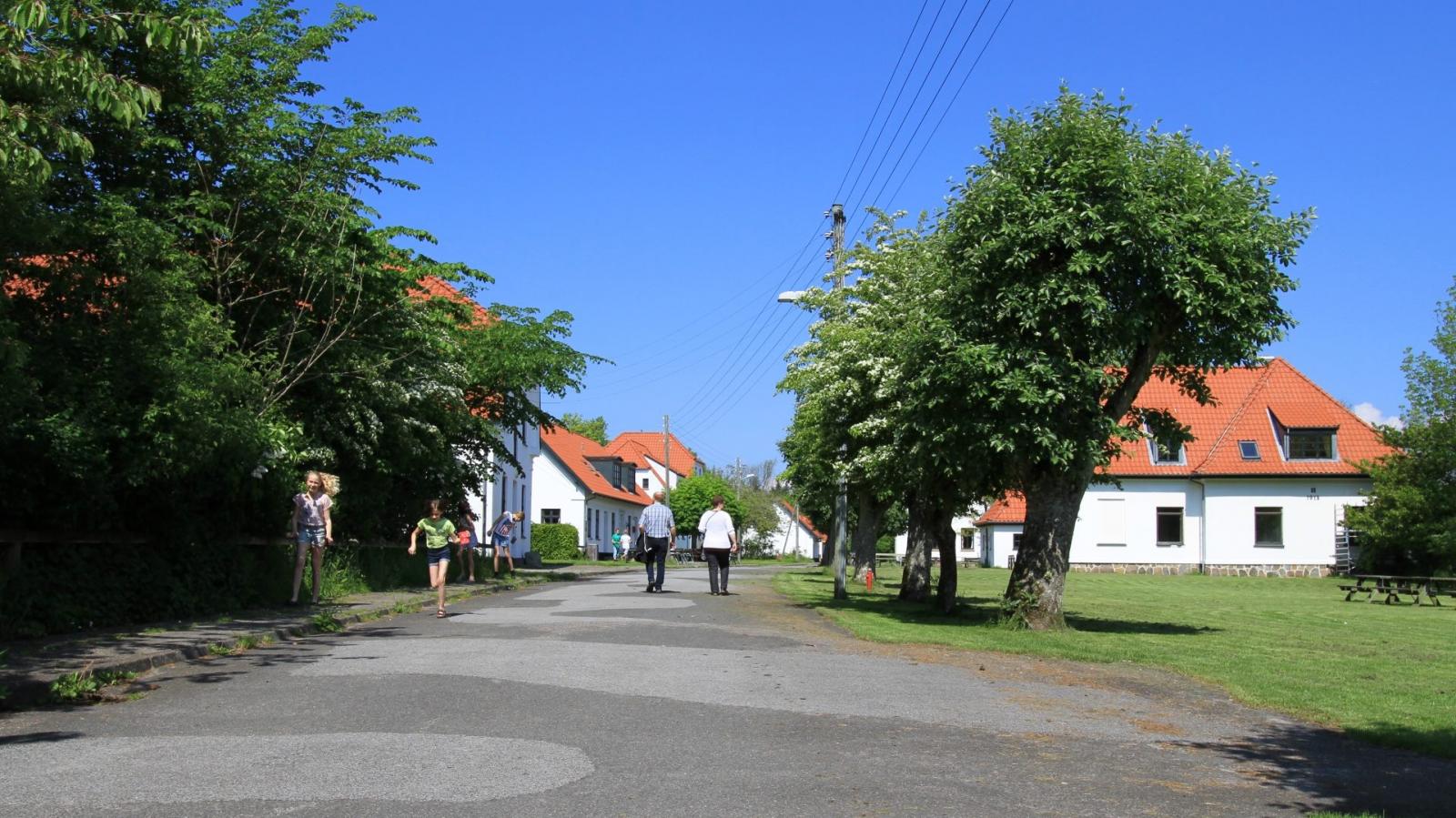 Livø - en tid i øjeblikket