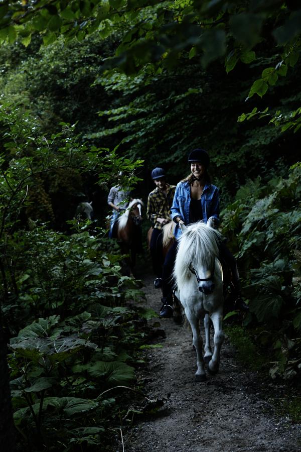 På hesteryg gennem Rold Skov