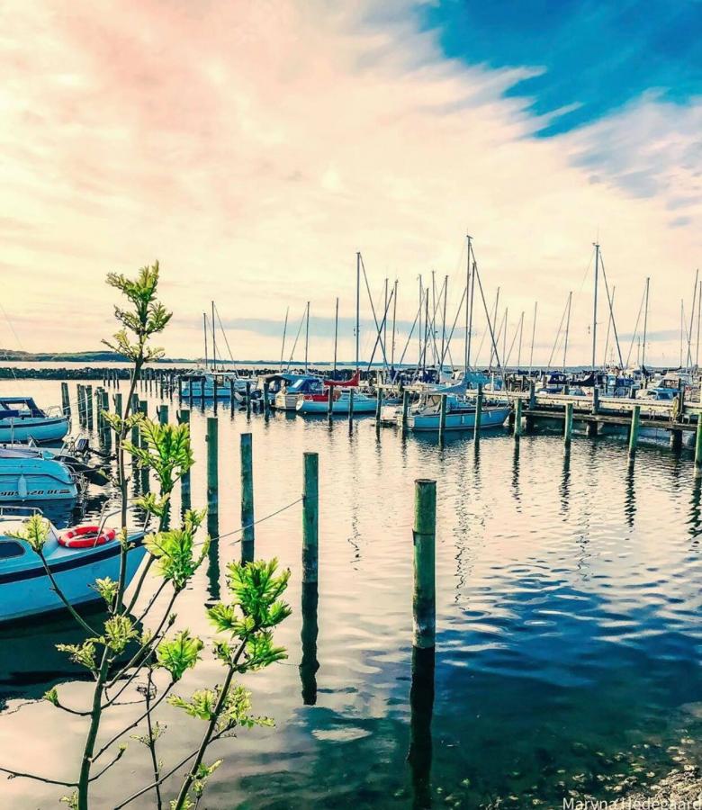 Hvalpsund Lystbådehavn