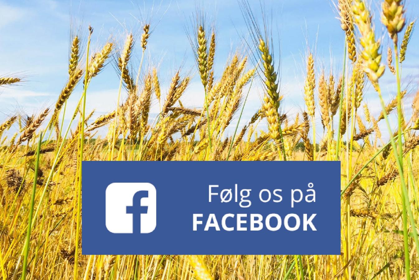 Følg os på Facebook