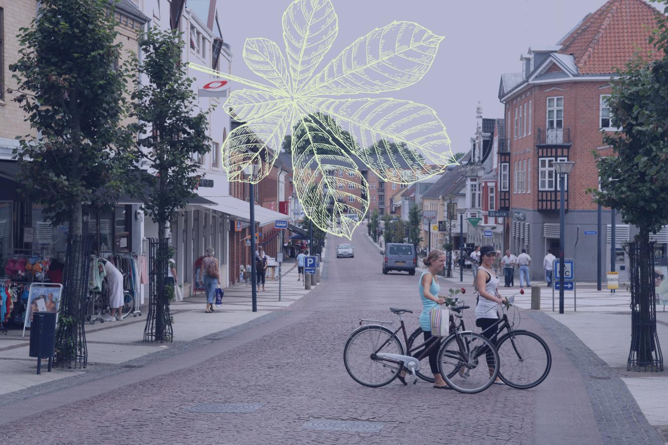 Himmerlandsgade i Aars