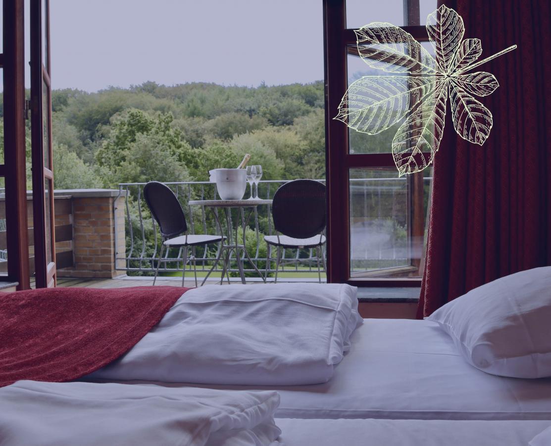 Hotel Amerika - udsigt til skoven