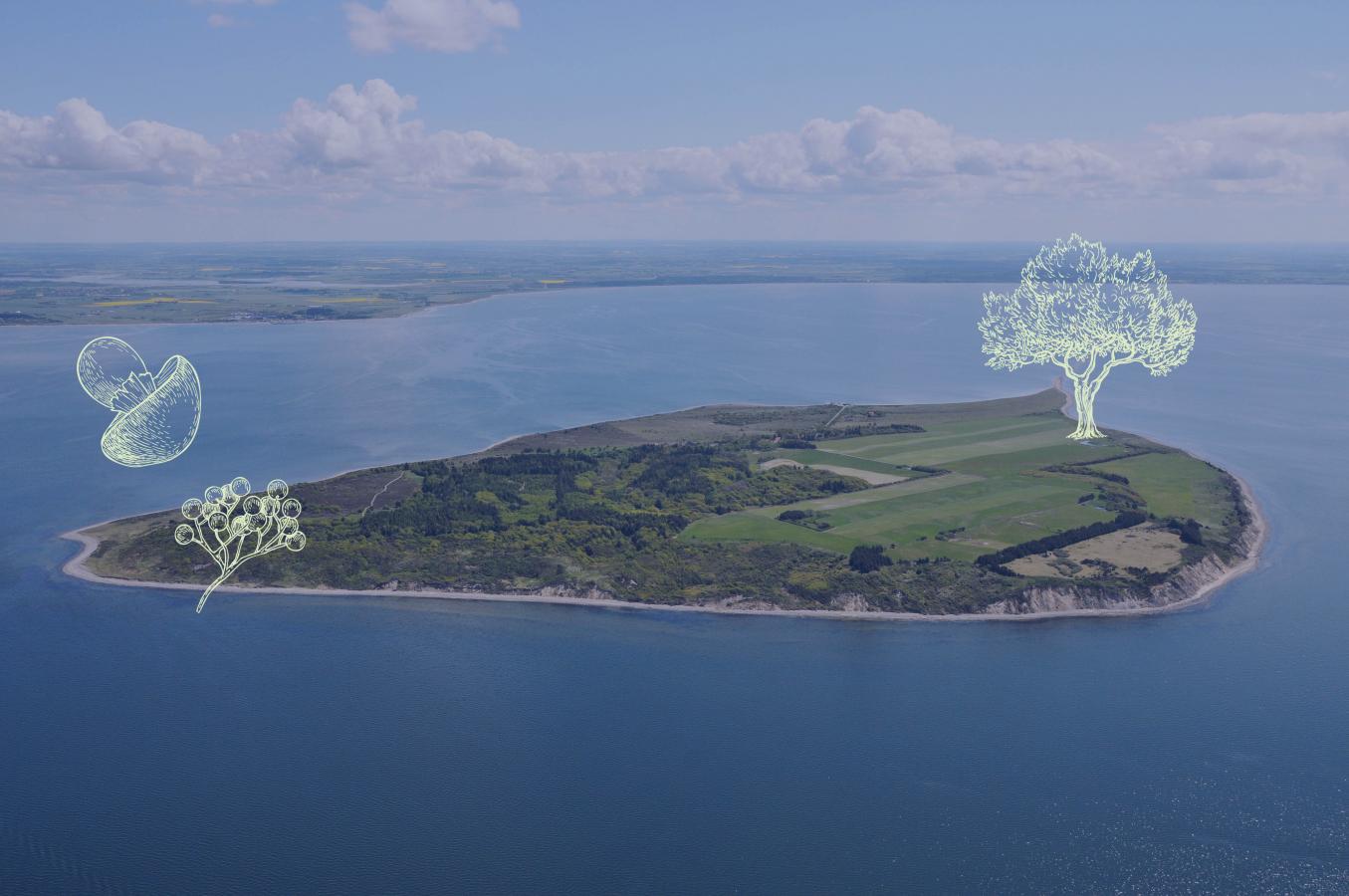 Livø, Limfjordens perle