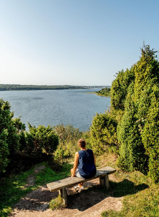 Panorama-ruten Bramslev Bakker