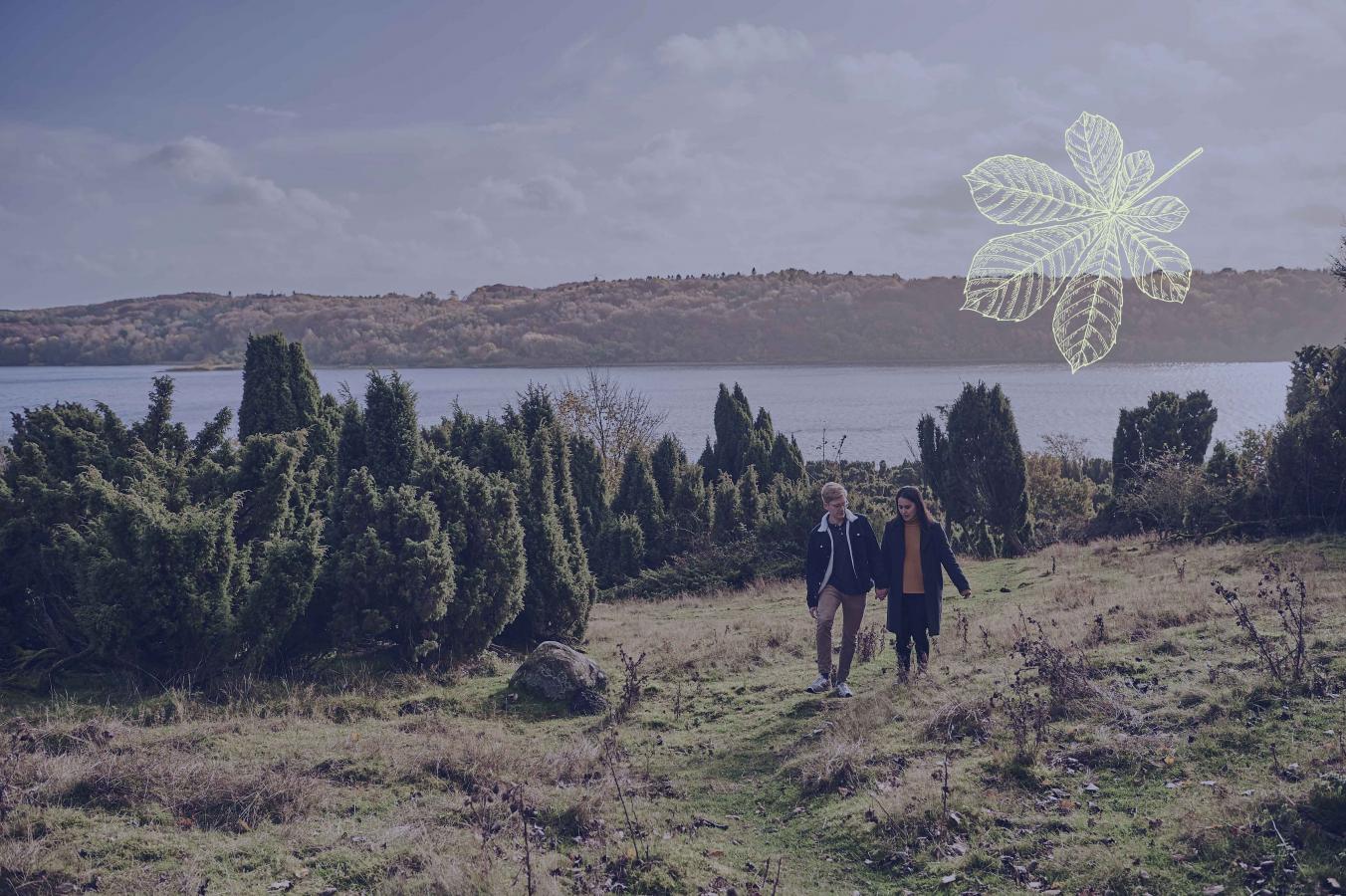 Turisme Netværk Himmerland