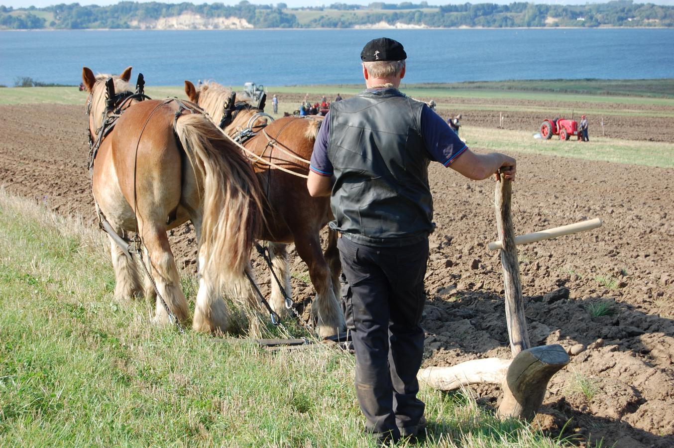 Efterår på Herregården Hessel