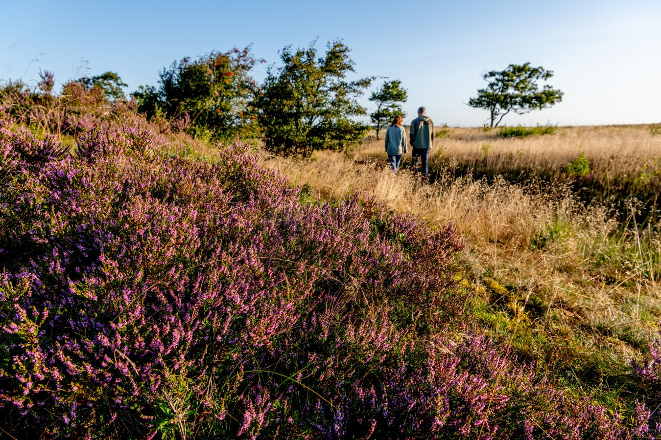 Vandring i Himmerland