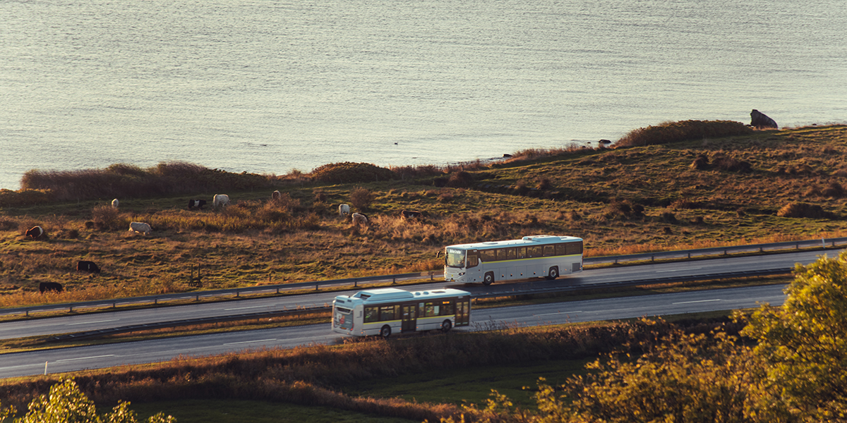 NT busser i landskabet