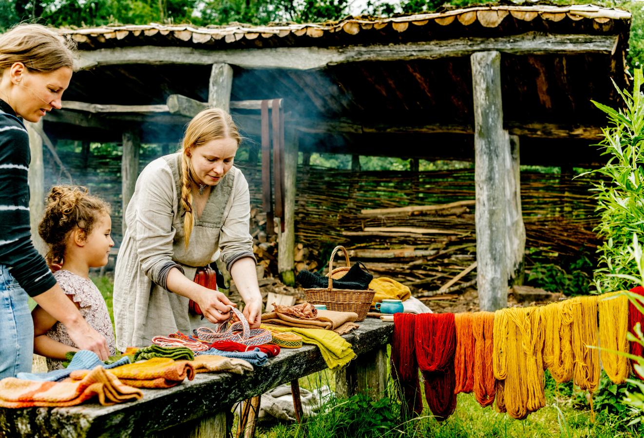 Vikinger i Himmerland