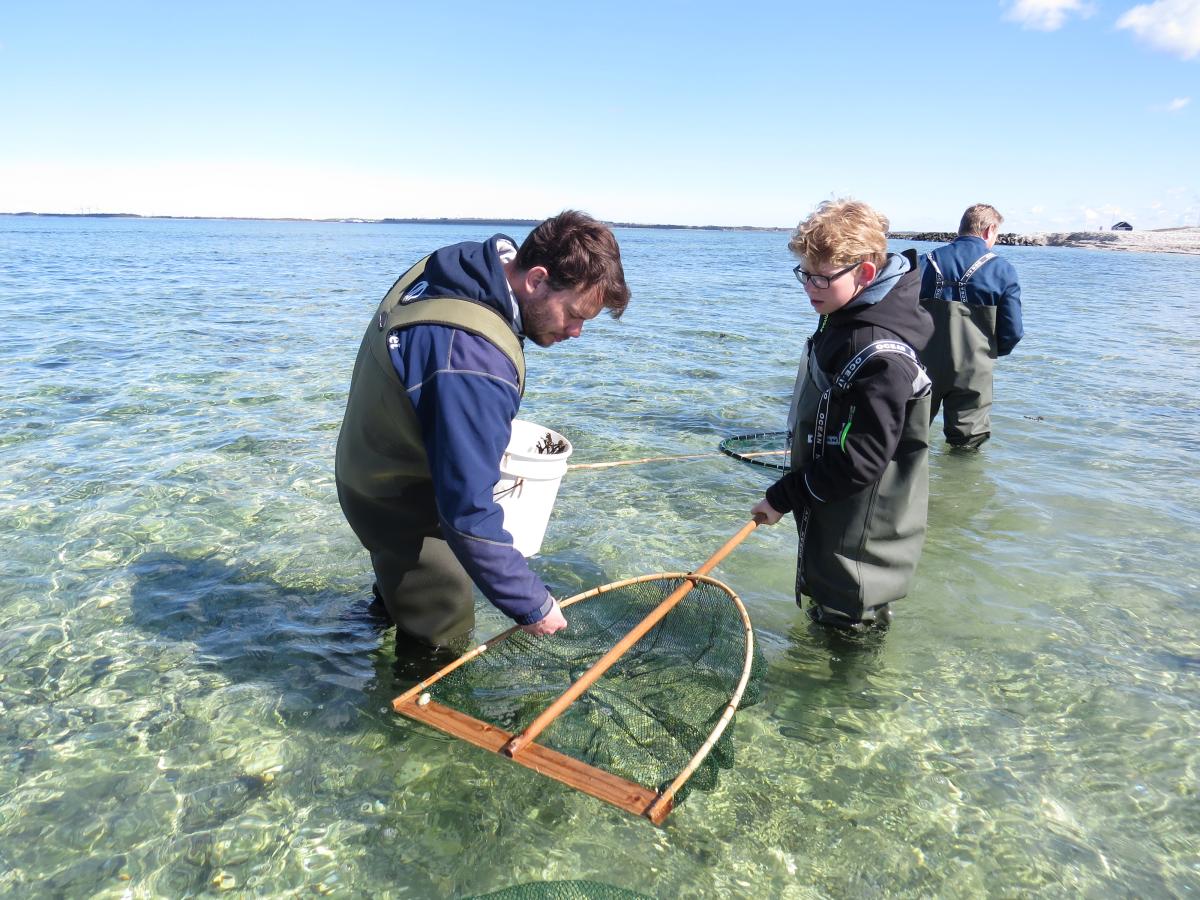 Sommeraktiviteter ved Limfjordsmuseet