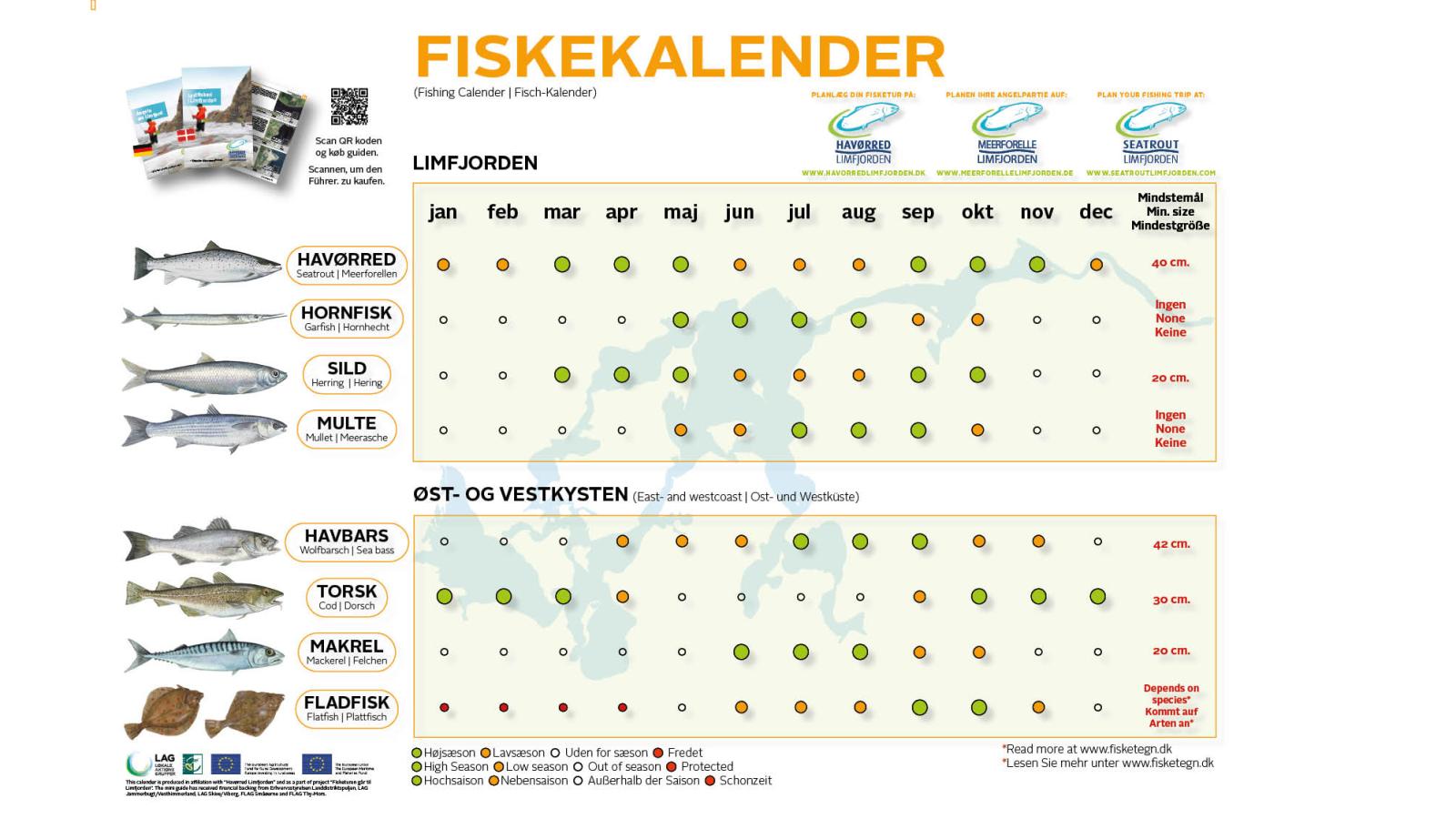 Fiskekalender, Havørred Limfjorden