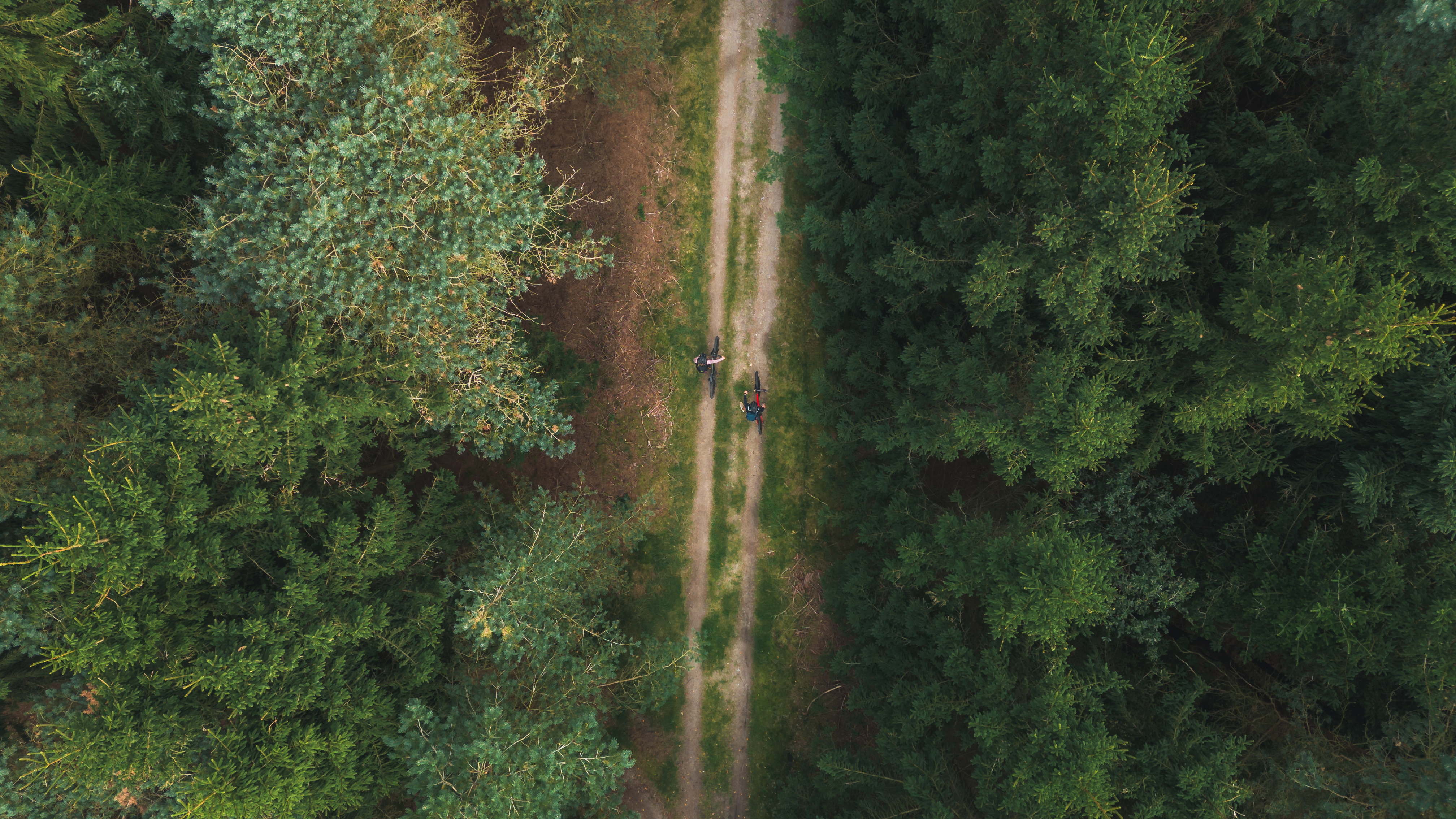 På cykel i naturen i Himmerland