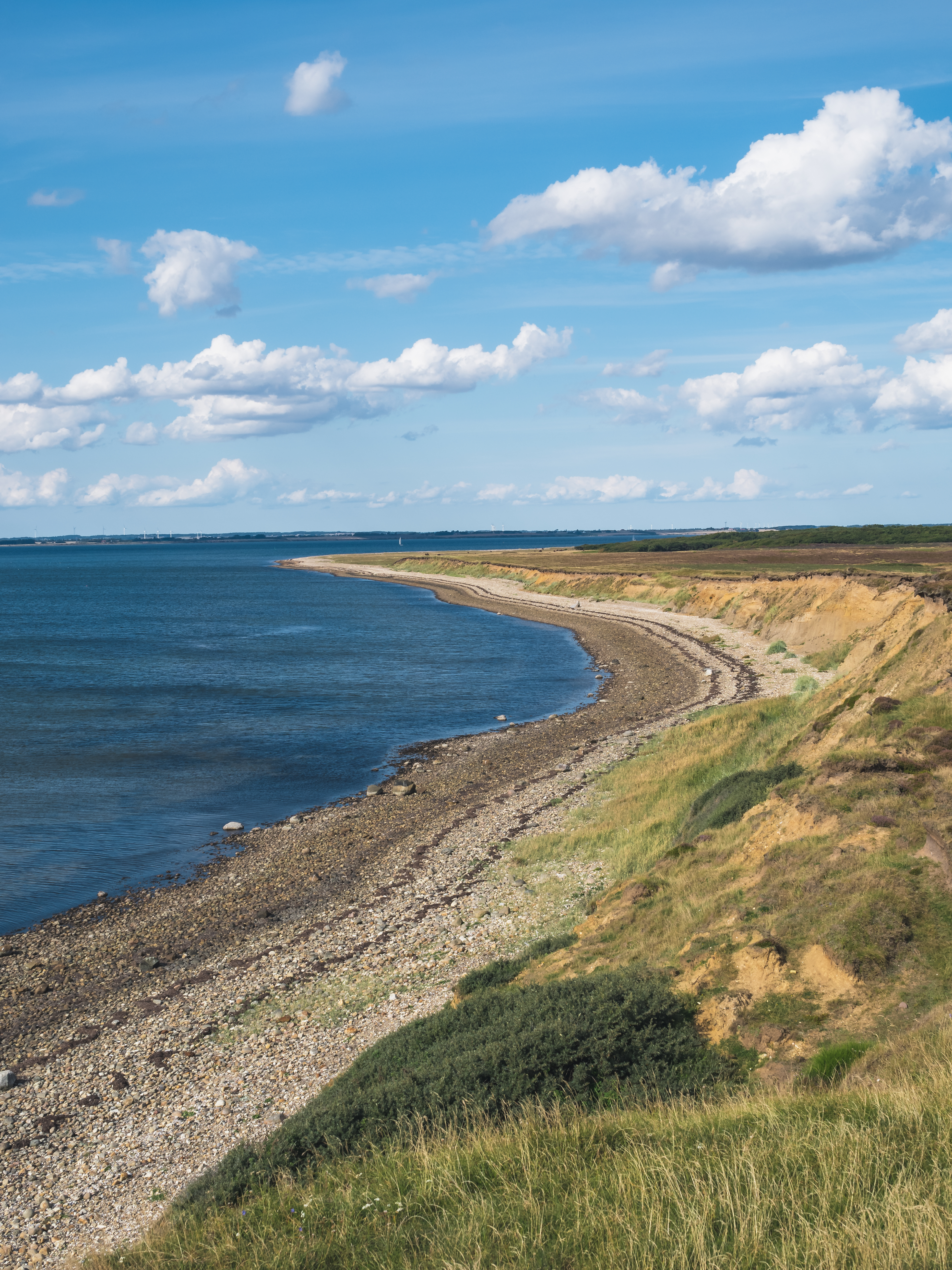 Limfjord's unique nature