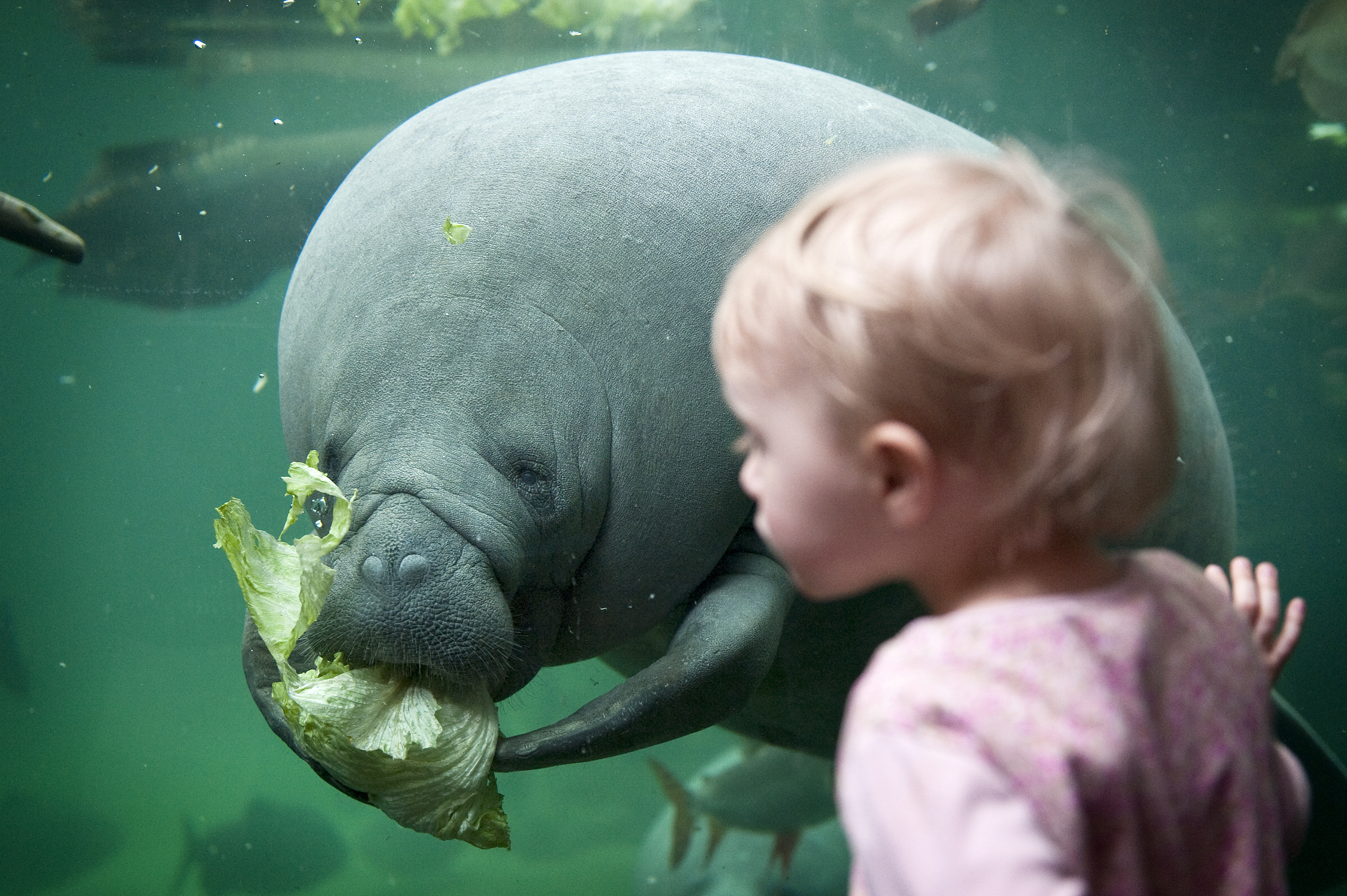 Randers Regnskov - Søko