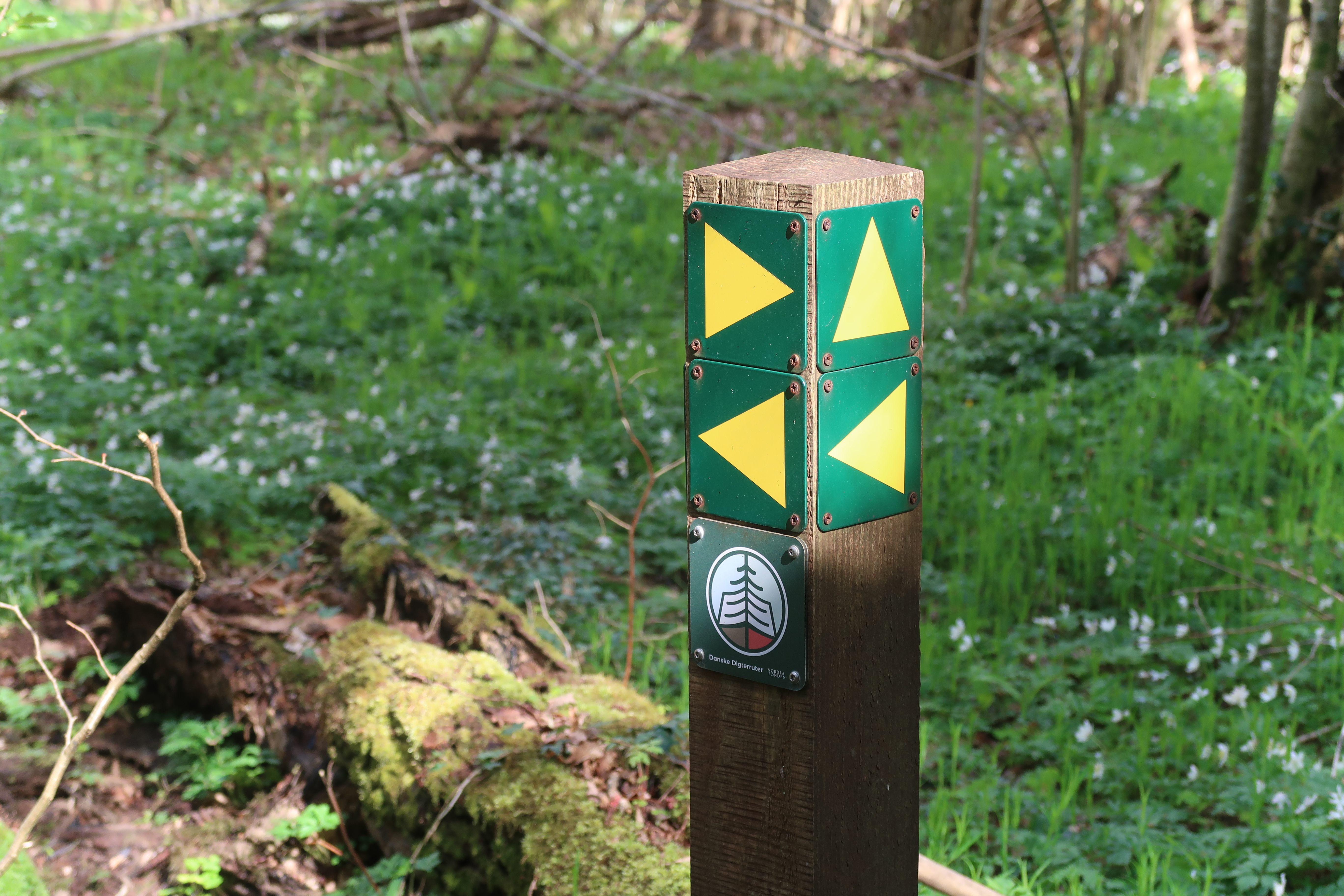 Vandretur i Himmerland, Digterruten, Louns Halvøen, Johannes V. Jensen, Frie Fodspor