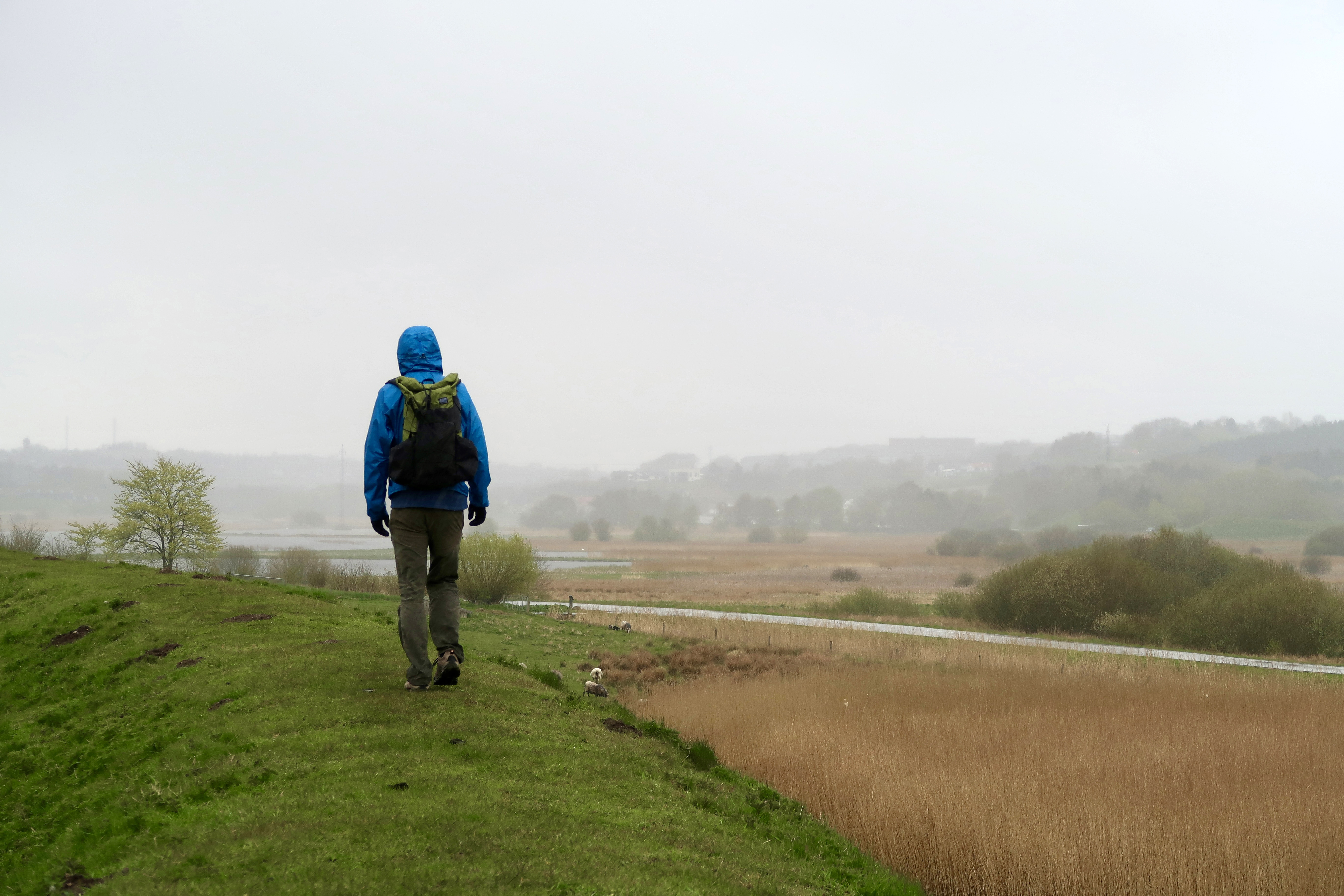 Vandretur i Himmerland, Hobro, Vikingemuseum Fyrkat,Fyrkat ringbor, Unesco, Frie Fodspor