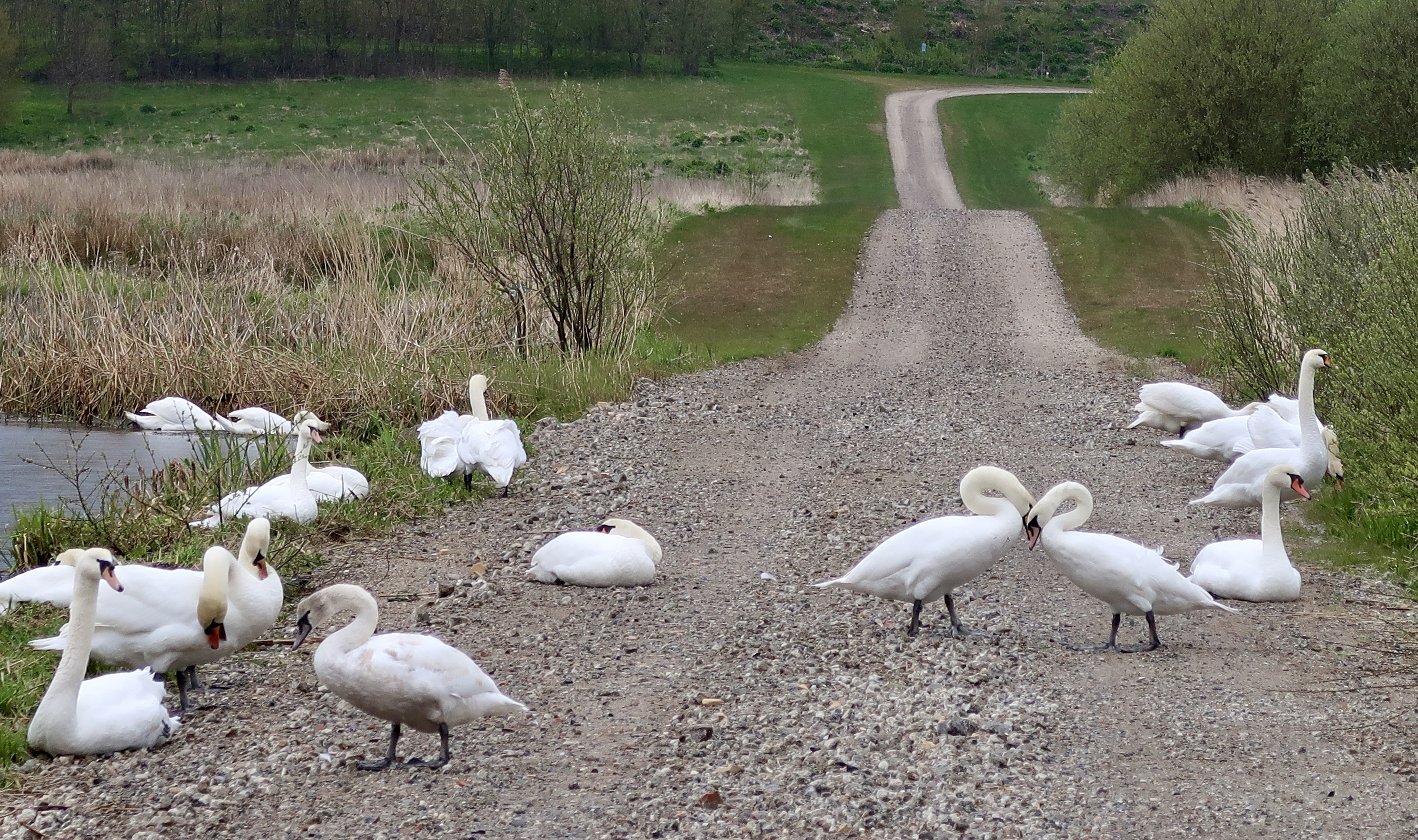 Vandretur i Himmerland, Hobro, Fyrkatstien, Fyrkat ringbor, Unesco, Frie Fodspor