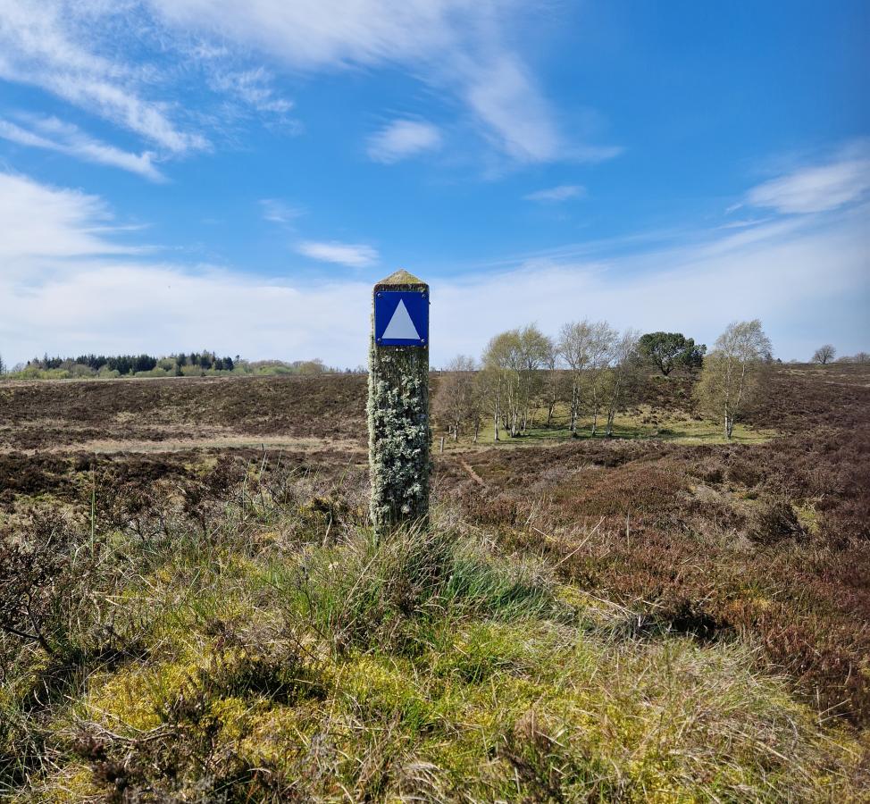 Vandretur i Himmerland, De Himmerlandske Heder, Frie Fodspor