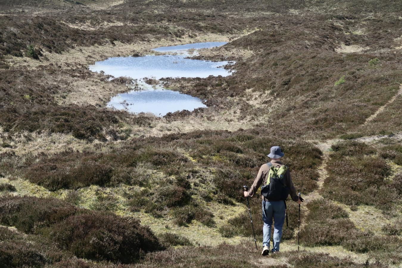 Vandretur på de Himmerlandske Heder, Vindblæs