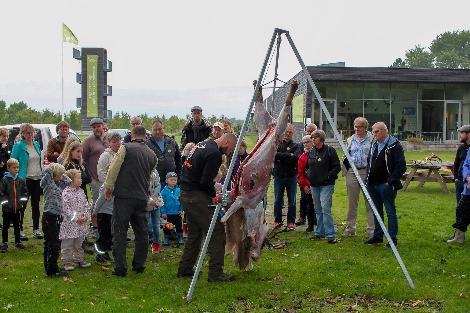Efterårsferie, flå et krondyr, Lille Vildmose