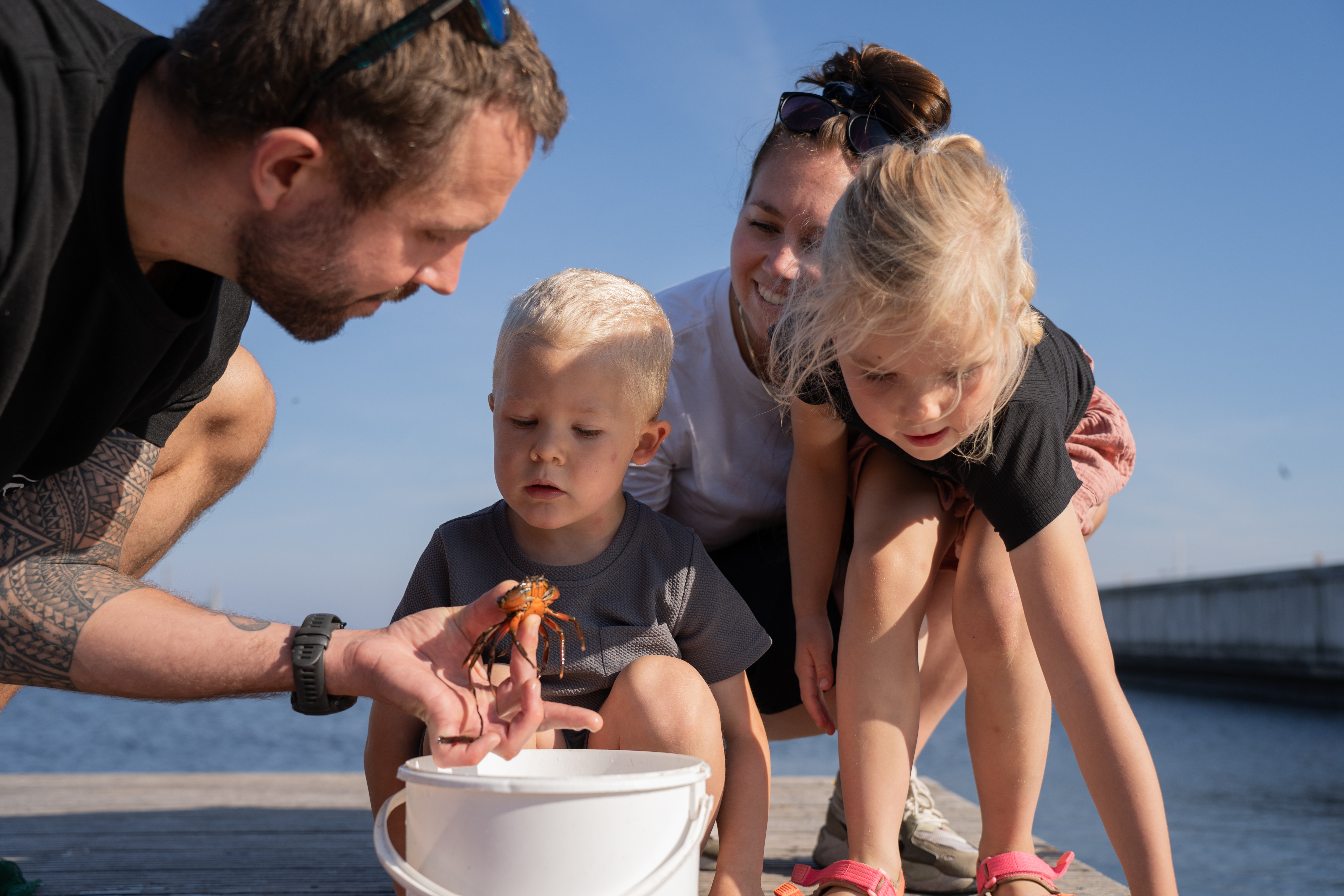 Oplevelser for hele familien
