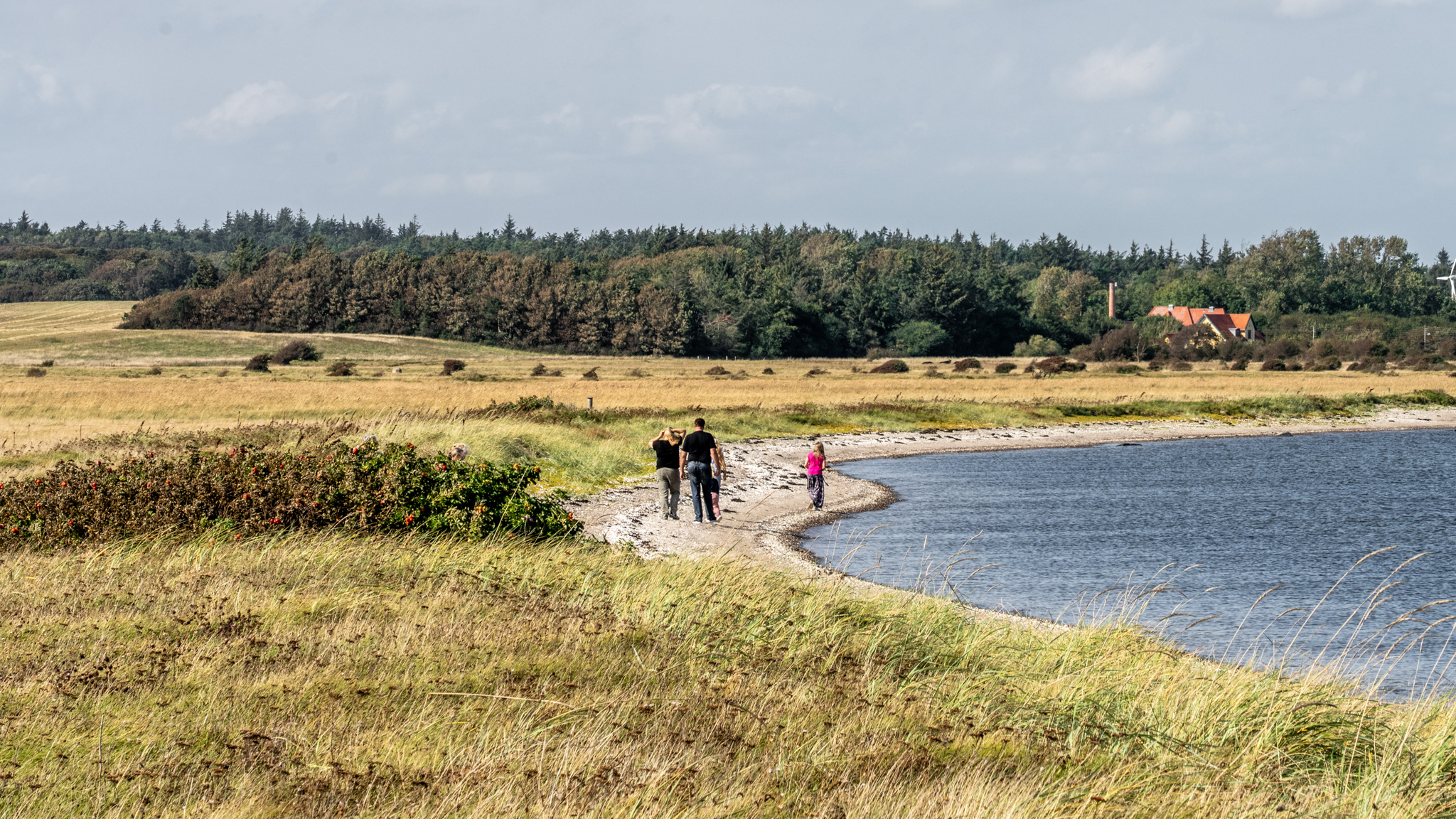 Guidet tur til Livø