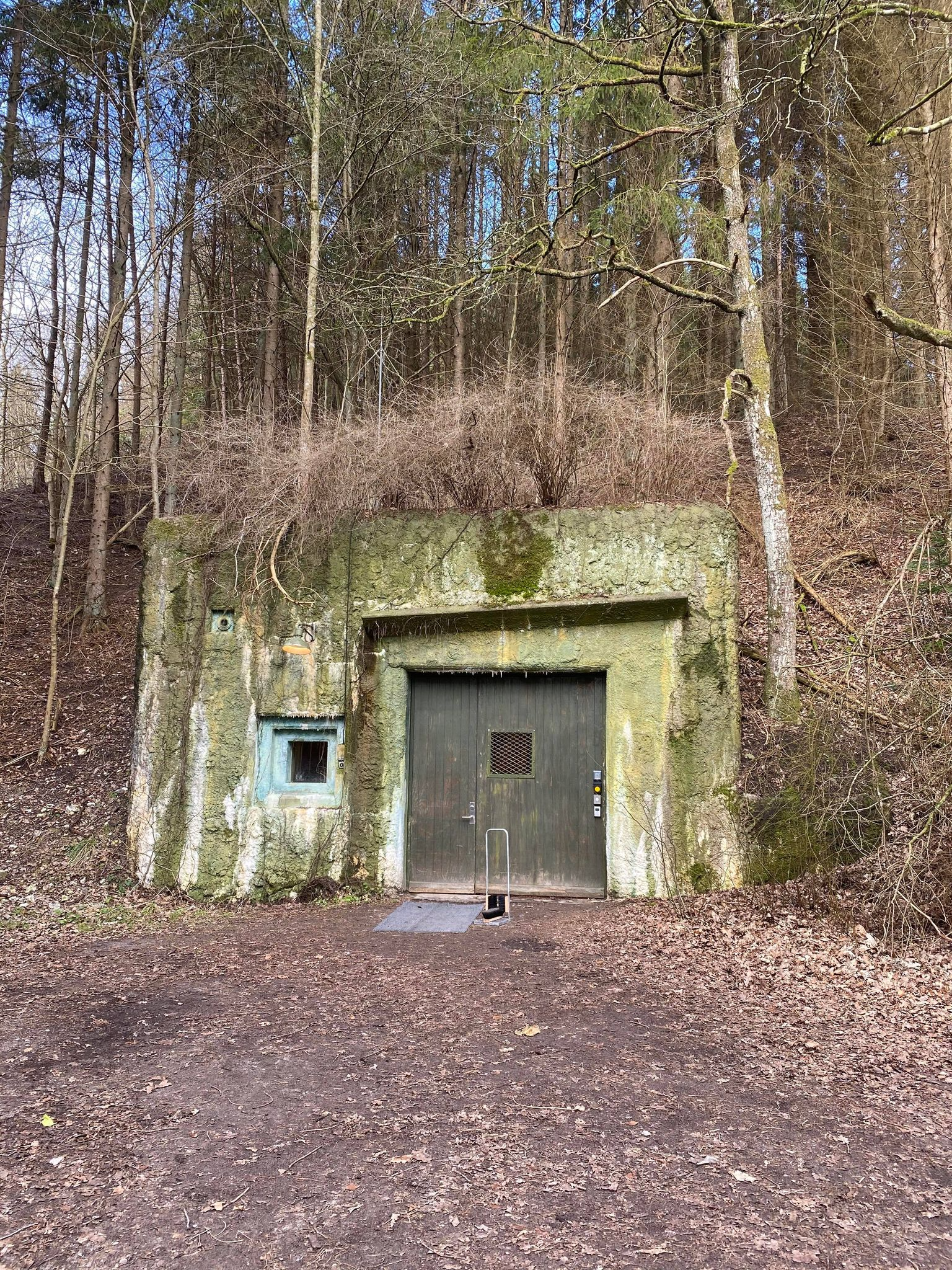 Regan Vest - indgang