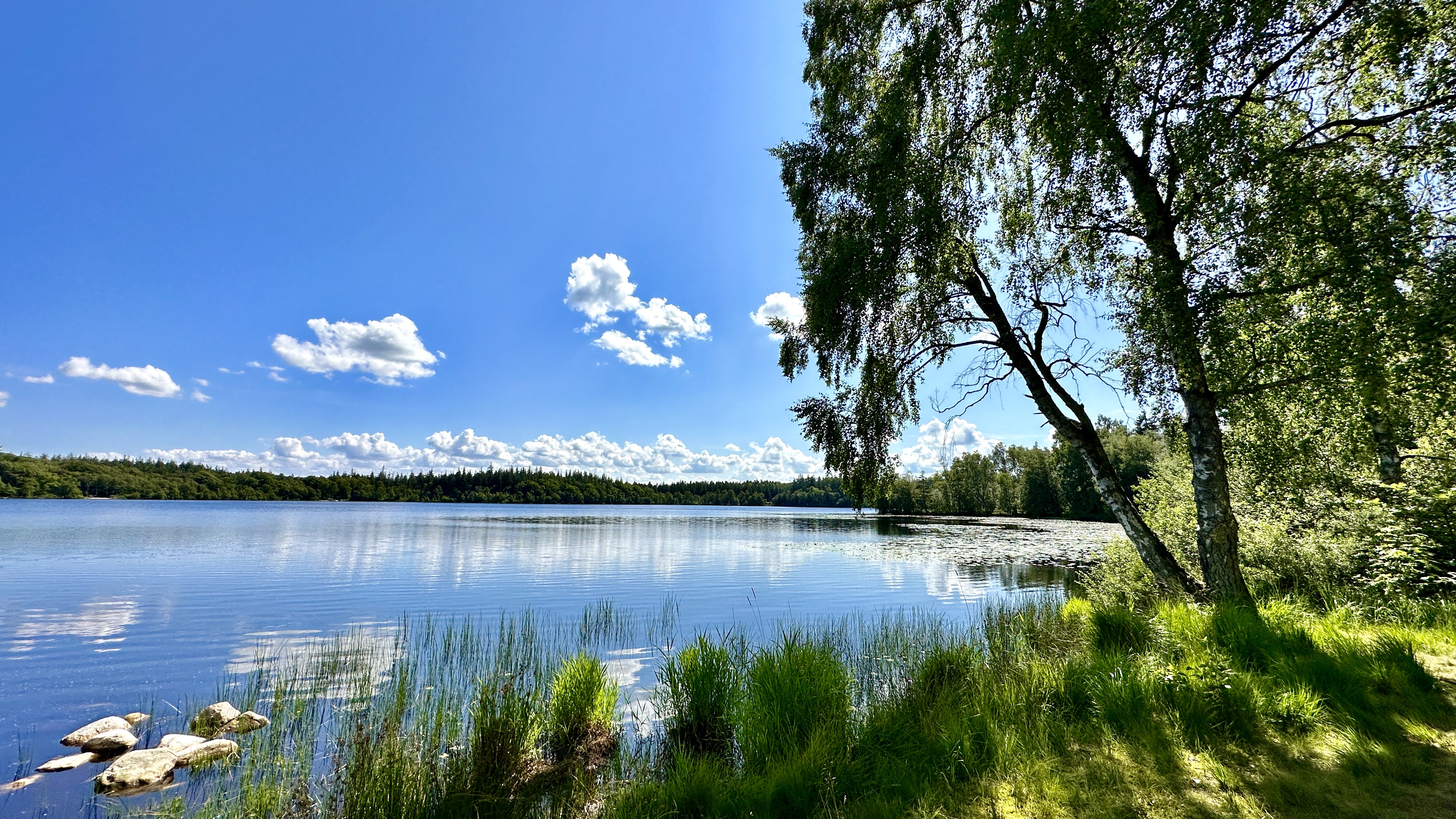 Store Økssø, Rold Skov